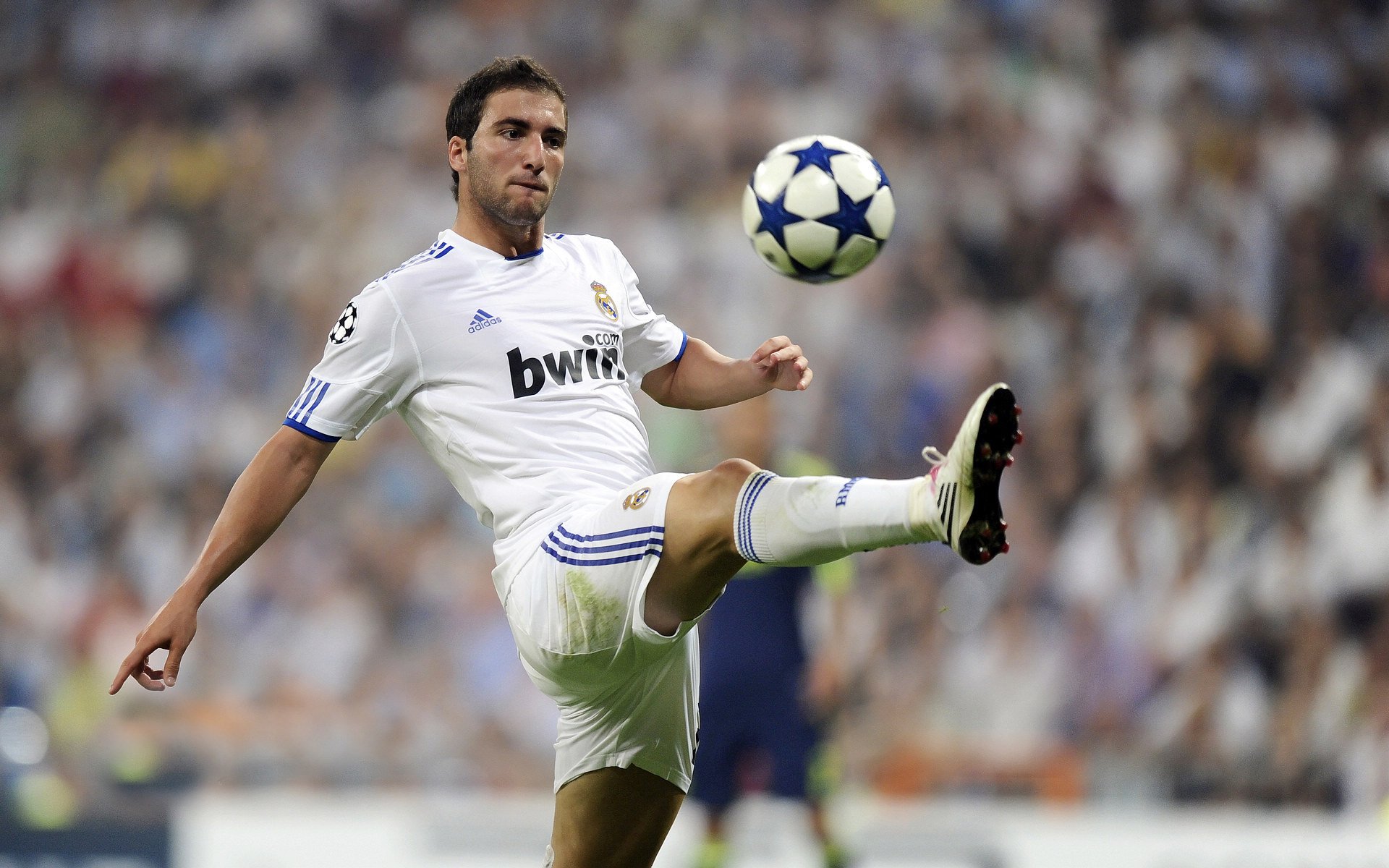 爱游戏体育-橄榄球场地共享模式成新趋势，橄榄球场地详解